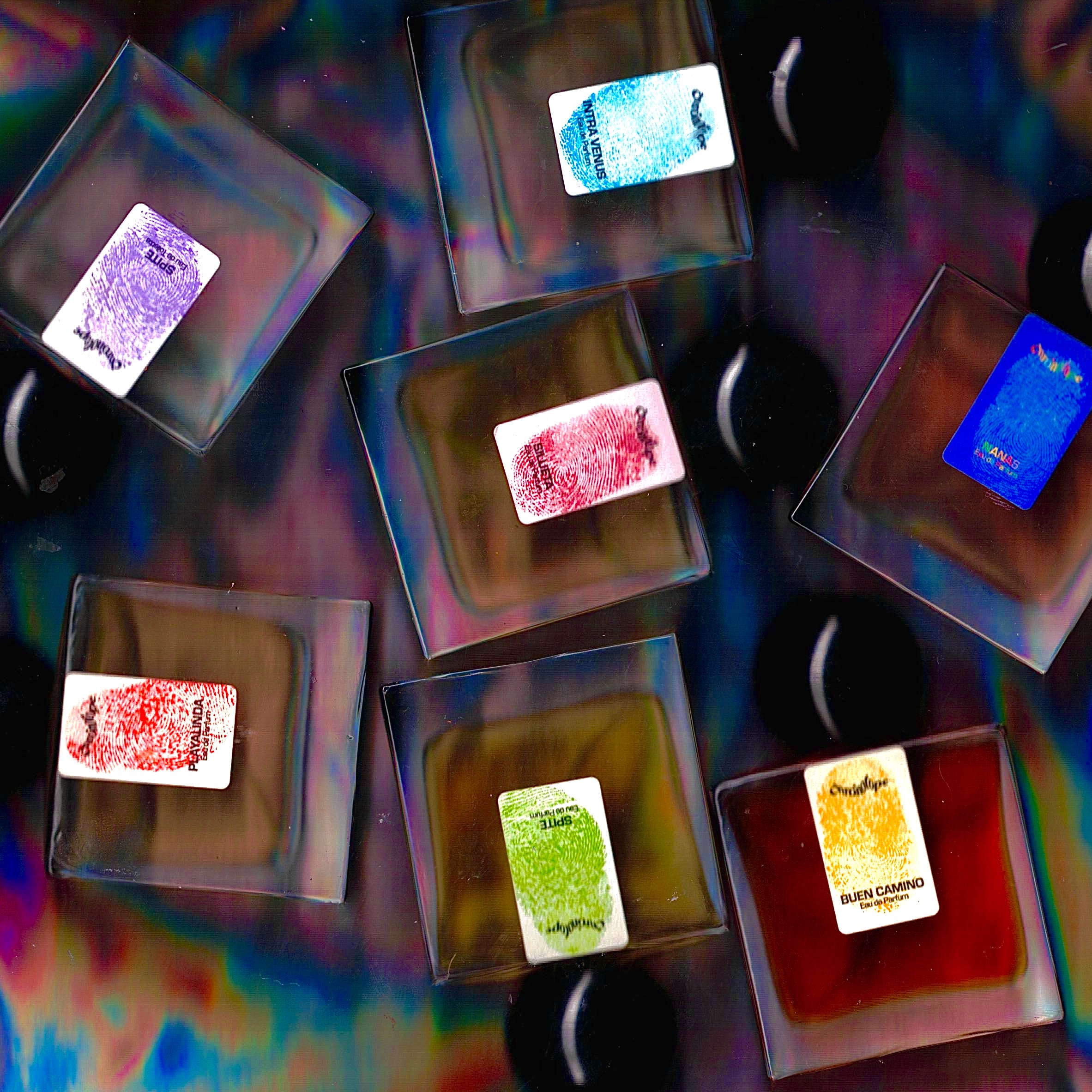 Core Collection →
