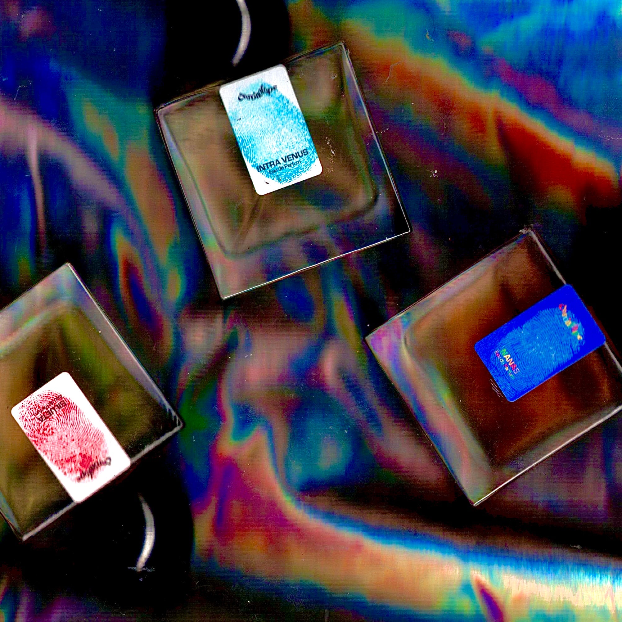 Perfume as Biography →
