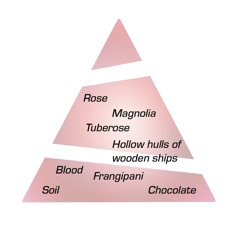 Scent notes pyramid illustration for Silueta Eau de Parfum by Chronotope, a perfume dedicated to the artist Ana Mendieta