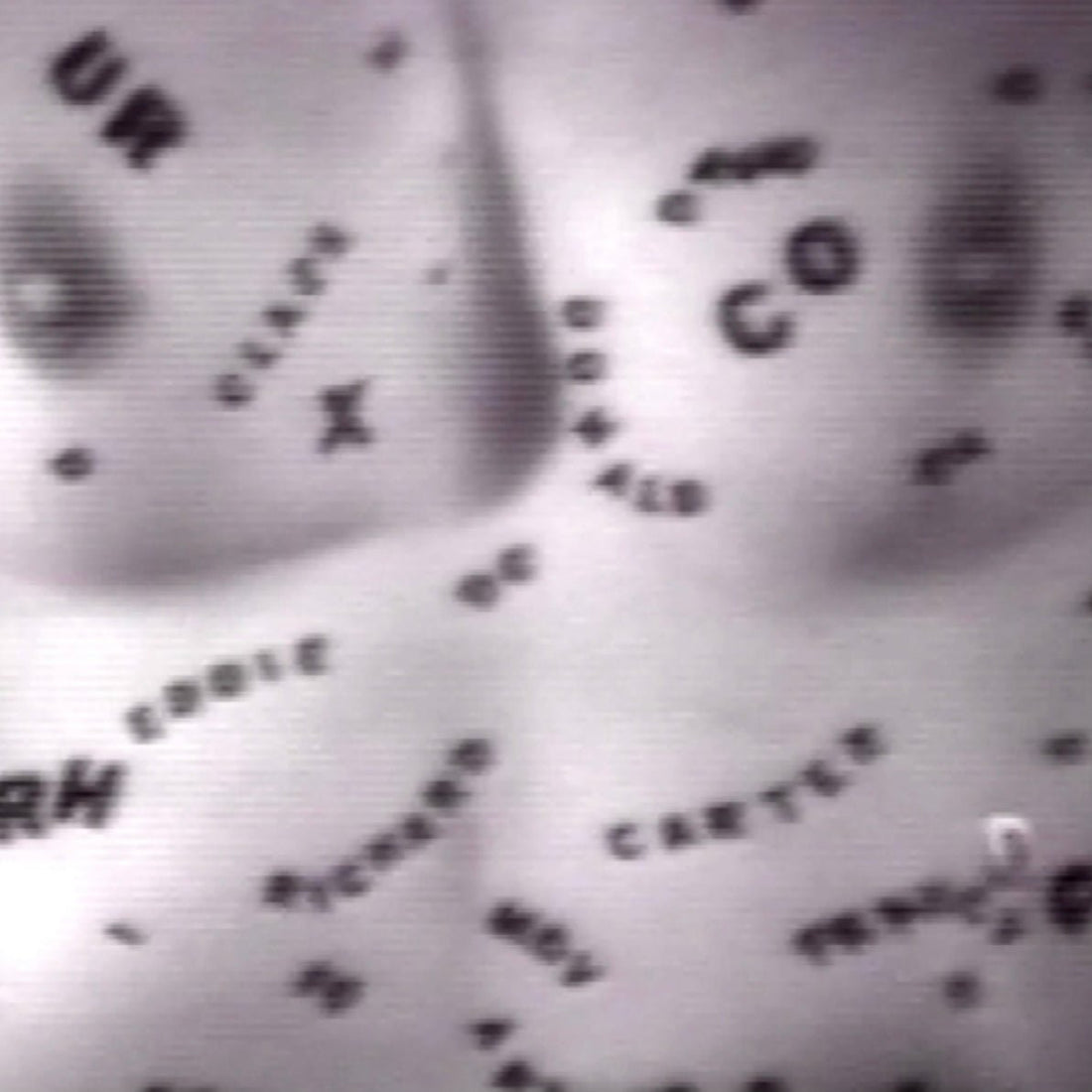 PART 2: HANNAH WILKE’S BODY [OF WORK]