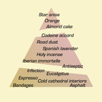 Scent pyramid diagram for Buen Camino Eau de Parfum by Chronotope Perfume