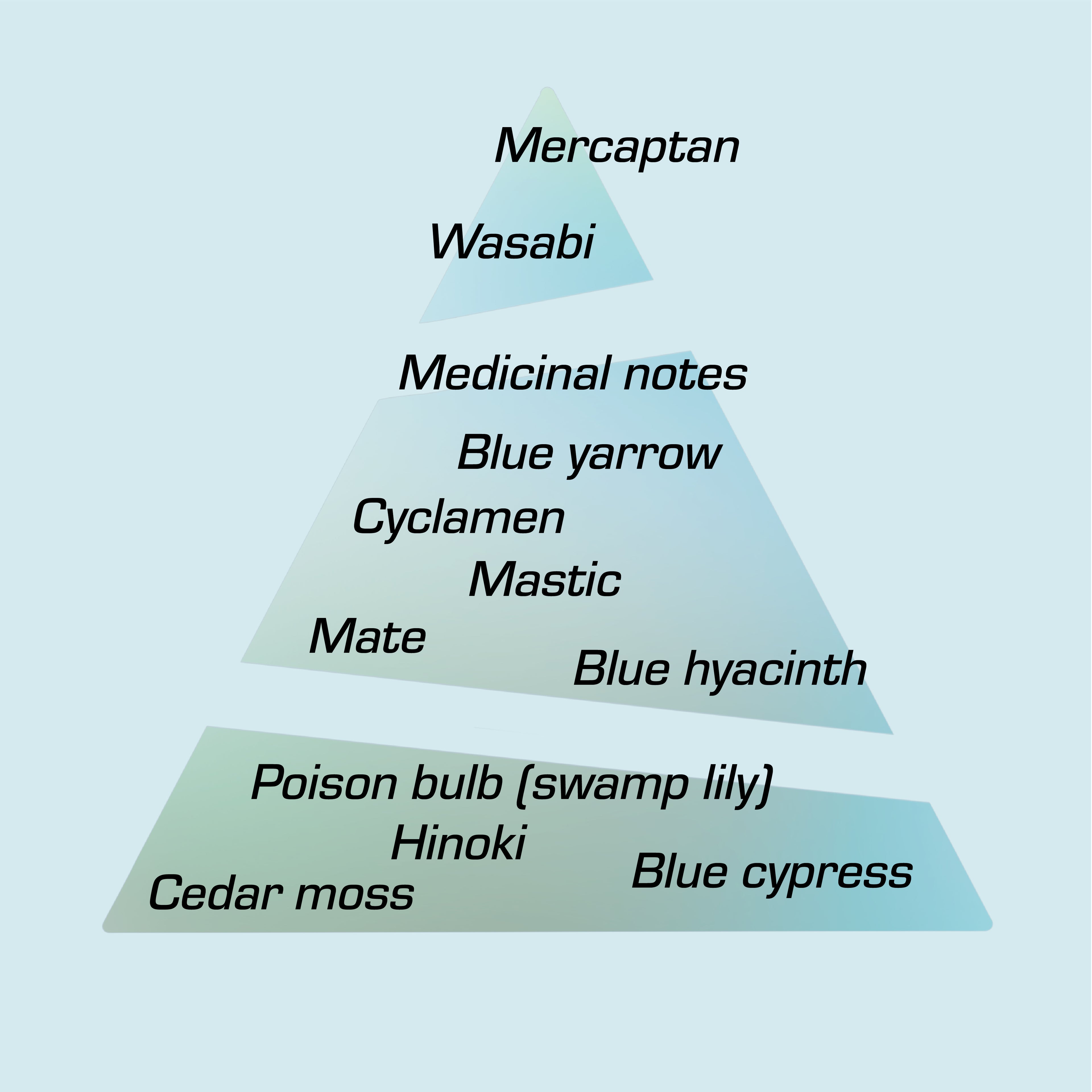 The fragrance pyramid for Intra Venus EdP by Chronotope Perfume; mastic, wasabi, yarrow, blue cypress, hyacinth, hinoki.
