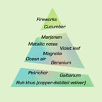 A scent pyramid featuring the notes listed for Janus EdP by Chronotope: ruh khus vetiver, galbanum, magnolia, cucumber.