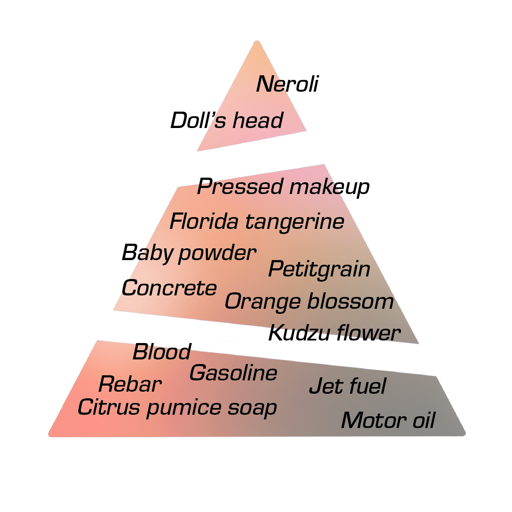 Scent notes pyramid illustration for Medea Eau de Parfum by Chronotope Perfume