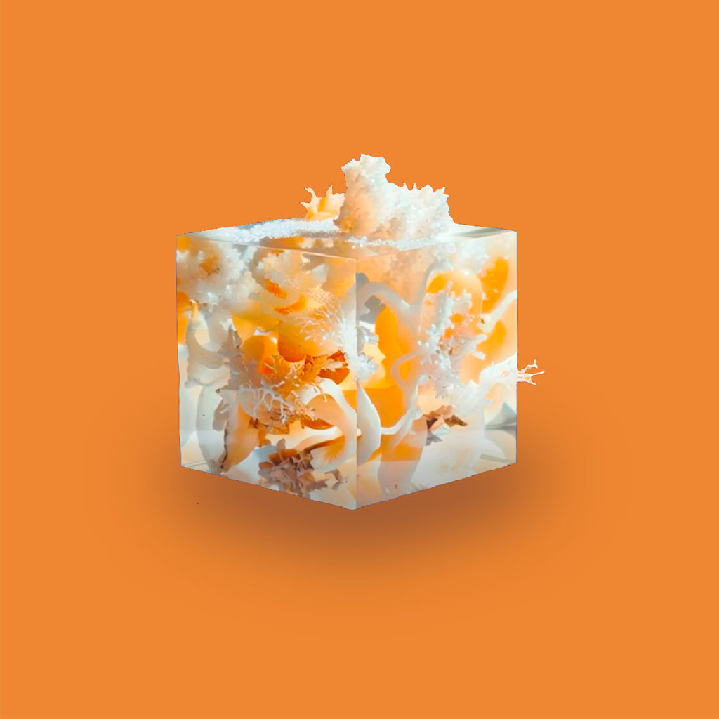 3D scent sculpture for Chronotope Perfume’s Playalinda Eau de Parfum. Formed from a tangle of peach- and ivory-colored bits of coral frozen inside and breaking beyond the surfaces of a clear resin block, it suggests the sea, embodiment, intimacy, connected bodies, transgression, and loss—and is set against a Peachskin Orange background.