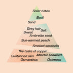 A scent pyramid that visualizes the wear progression of Playalinda EdP by Chronotope Perfume: osmanthus, peach, copper, smoked seashells, salt, sand.