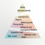 A scent notes pyramid diagram for Nanas Eau de Parfum by Chronotope