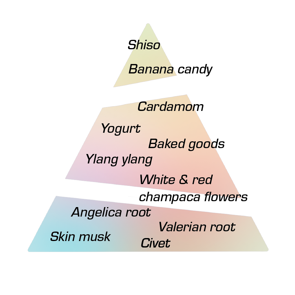 A scent notes pyramid diagram for Nanas Eau de Parfum by Chronotope