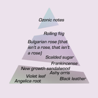 Scent pyramid diagram for Spite Eau de Toilette by Chronotope