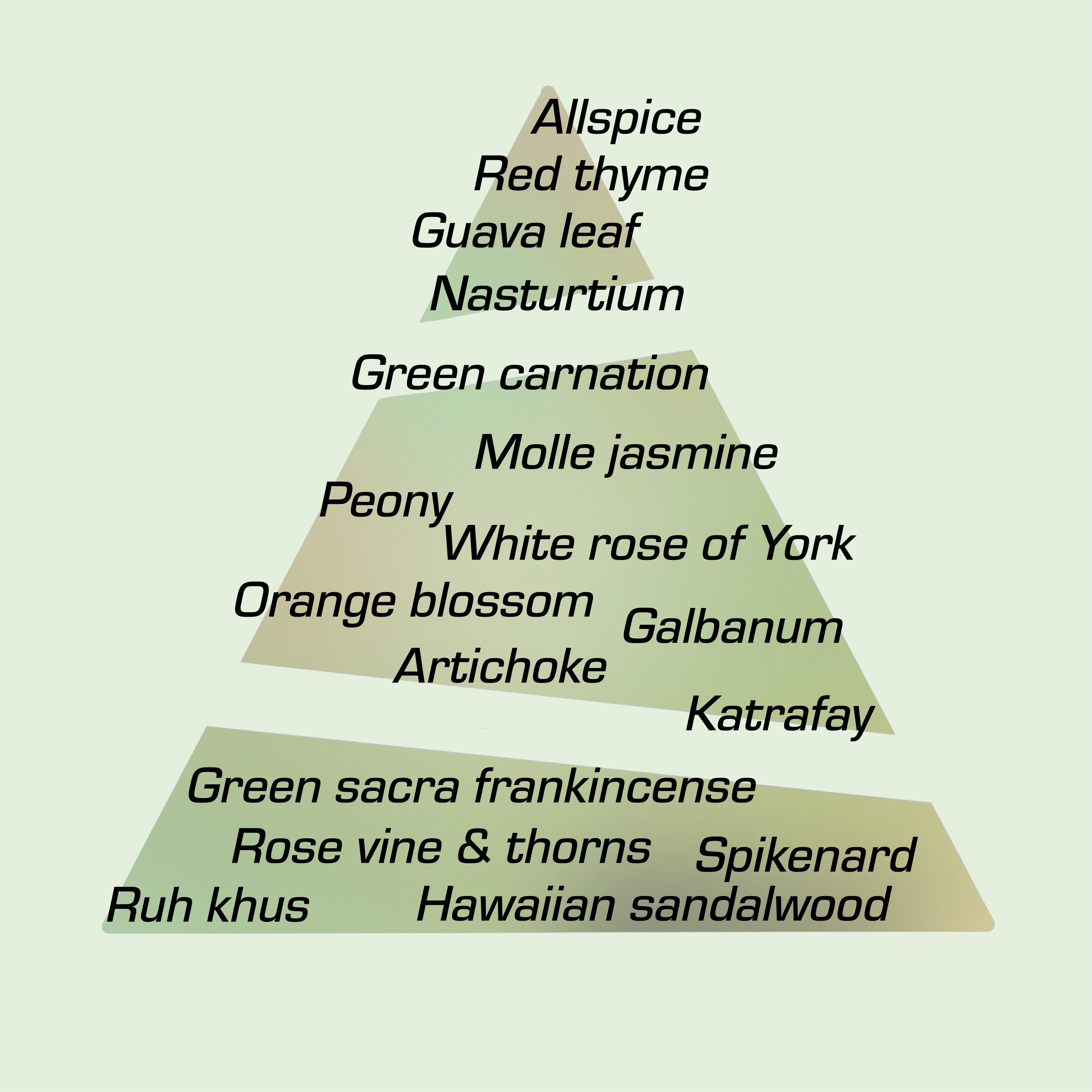 A scent pyramid visualizing the notes of Spite EdP by Chronotope Perfume: artichoke, white rose, sandalwood, orange blossom, molle jasmine, galbanum.