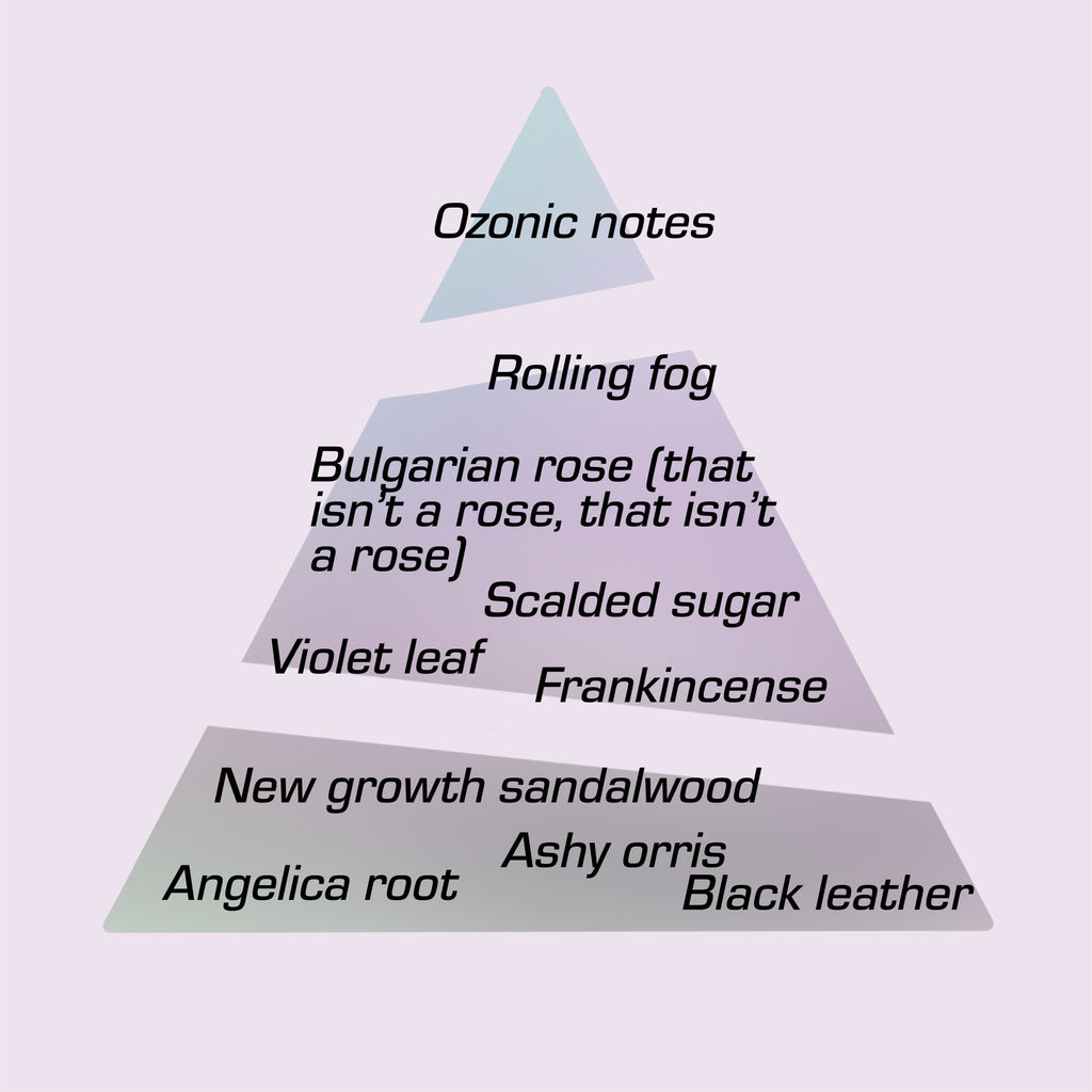 A scent pyramid featuring the notes of Spite Eau de Toilette: Bulgarian rose that isn’t a rose, rolling fog, scalded sugar, violet leaf, leather.