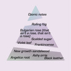 A scent pyramid featuring the notes of Spite Eau de Toilette: Bulgarian rose that isn’t a rose, rolling fog, scalded sugar, violet leaf, leather.