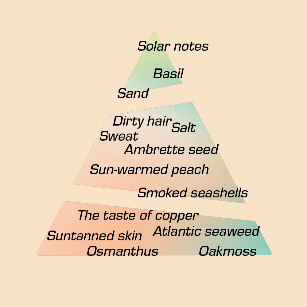 Fragrance notes pyramid illustration for Chronotope Perfume’s Playalinda EdP